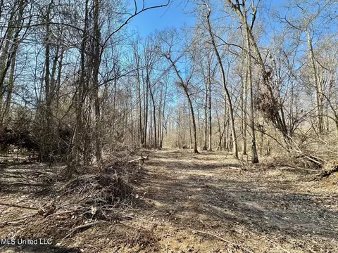 4 Evans Rd, Carthage, MS 39051 photo 17