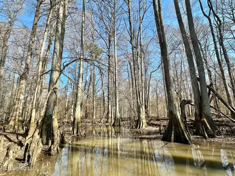 4 Evans Rd, Carthage, MS 39051 photo 20