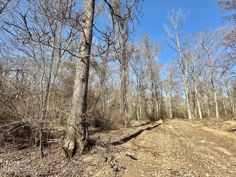 4 Evans Rd, Carthage, MS 39051 photo 39