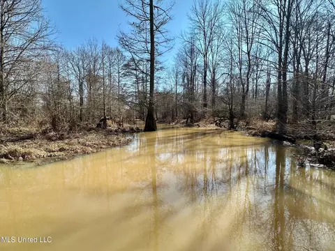 4 Evans Rd, Carthage, MS 39051 photo 15