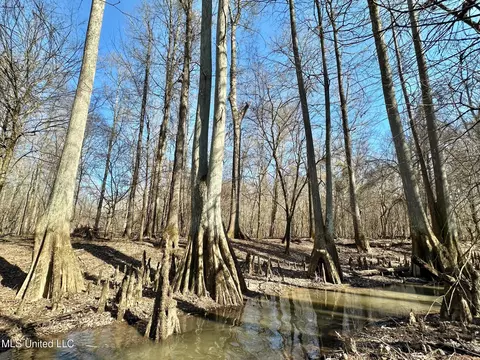 4 Evans Rd, Carthage, MS 39051 photo 18