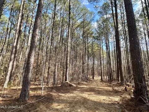 5 Scarborough Rd, Carthage, MS 39051