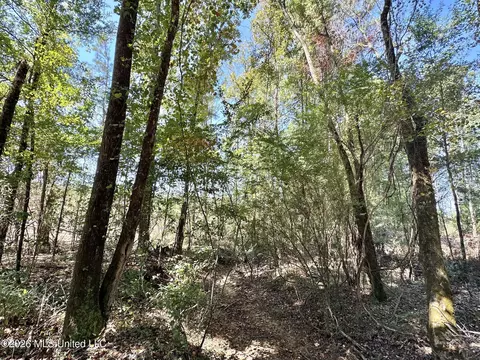 6 Cut Off Rd, Carthage, MS 39051 photo 7