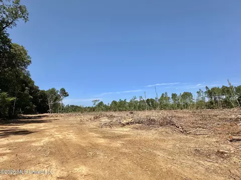 6 Cut Off Rd, Carthage, MS 39051 photo 2