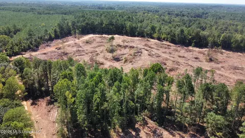 6 Cut Off Rd, Carthage, MS 39051 photo 18