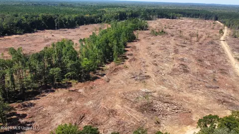6 Cut Off Rd, Carthage, MS 39051