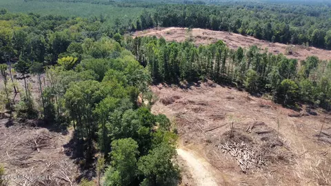 6 Cut Off Rd, Carthage, MS 39051 photo 16