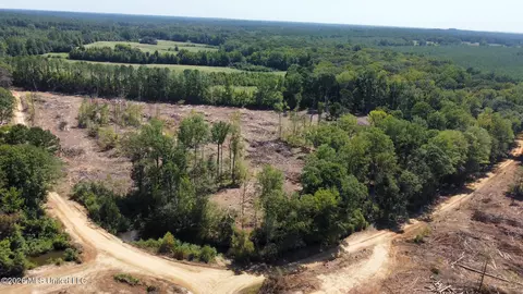 6 Cut Off Rd, Carthage, MS 39051 photo 14
