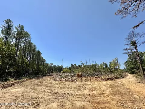 6 Cut Off Rd, Carthage, MS 39051 photo 9