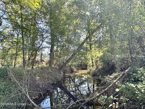 6 Cut Off Rd, Carthage, MS 39051 photo 8