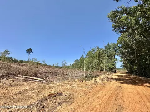 6 Cut Off Rd, Carthage, MS 39051 photo 6