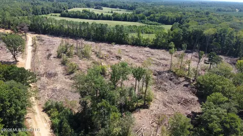 6 Cut Off Rd, Carthage, MS 39051 photo 15