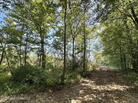 6 Cut Off Rd, Carthage, MS 39051 photo 4