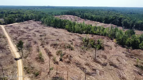 6 Cut Off Rd, Carthage, MS 39051 photo 22