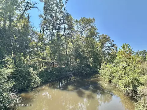 6 Cut Off Rd, Carthage, MS 39051 photo 10