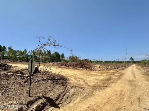 6 Cut Off Rd, Carthage, MS 39051 photo 11