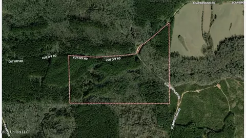 6 Cut Off Rd, Carthage, MS 39051 photo 10