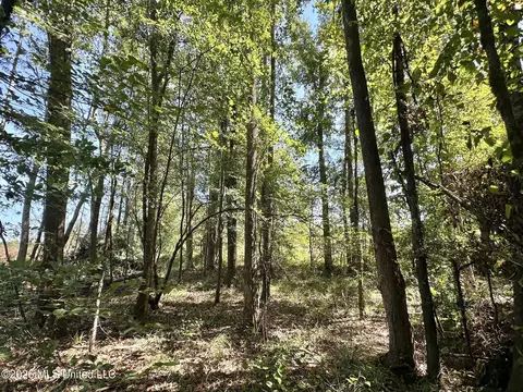 6 Cut Off Rd, Carthage, MS 39051 photo 3