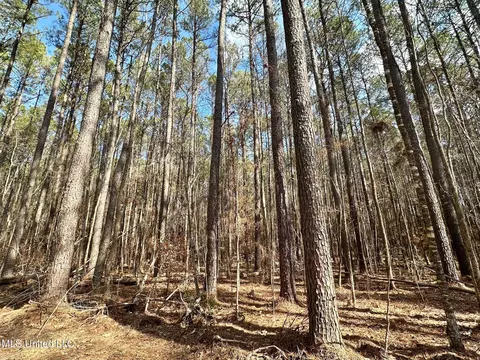 6 Cut Off Rd, Carthage, MS 39051