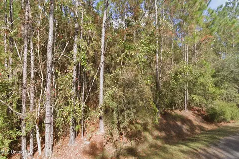 Cedar Drive, Bay Saint Louis, MS 39520