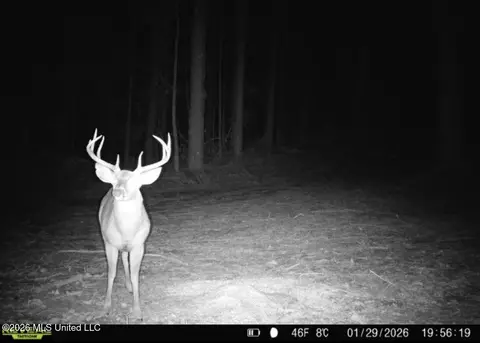 7 Cut Off Rd, Carthage, MS 39051 photo 4