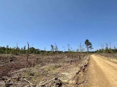 7 Cut Off Rd, Carthage, MS 39051 photo 2