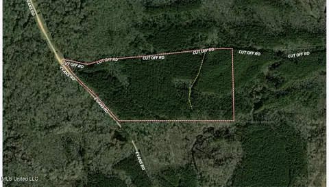 7 Cut Off Rd, Carthage, MS 39051 photo 5