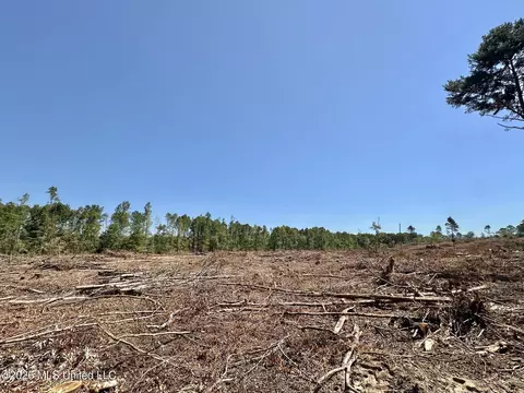 7 Cut Off Rd, Carthage, MS 39051