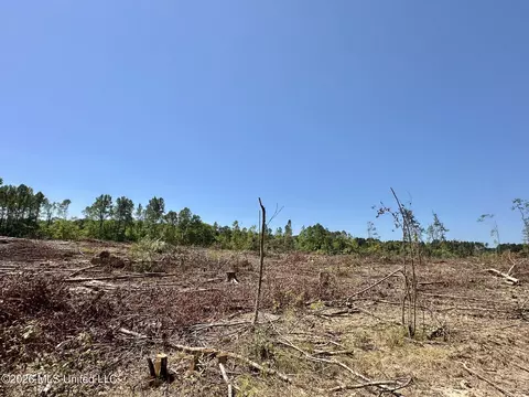 7 Cut Off Rd, Carthage, MS 39051 photo 3