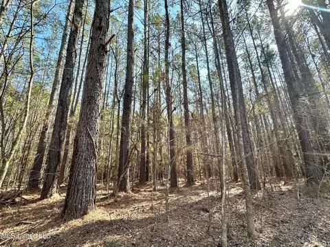7 Cut Off Rd, Carthage, MS 39051