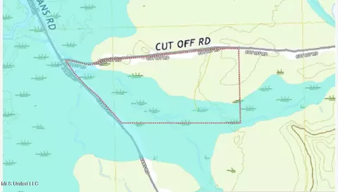 7 Cut Off Rd, Carthage, MS 39051 photo 6