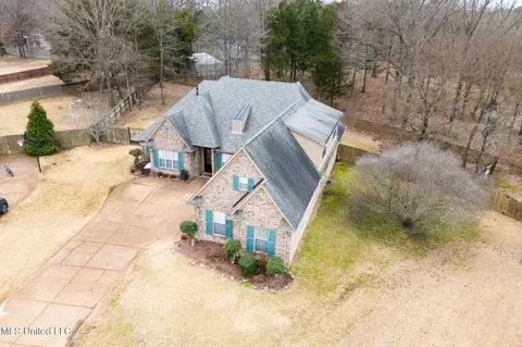 View/Area - 1623 Imboden Cv, Nesbit, MS 38651 photo 1 of 3