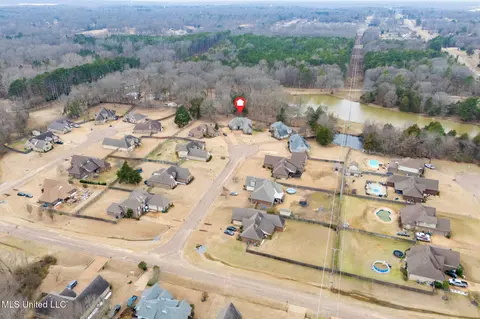 View/Area - 1623 Imboden Cv, Nesbit, MS 38651 photo 3 of 3