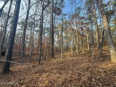 2015 Forest Rd, Hazlehurst, MS 39083 photo 48