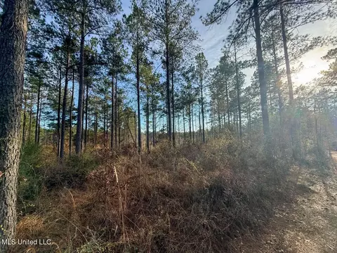2015 Forest Rd, Hazlehurst, MS 39083 photo 14