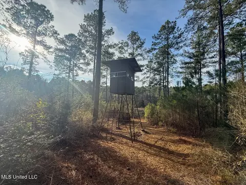 2015 Forest Rd, Hazlehurst, MS 39083 photo 42