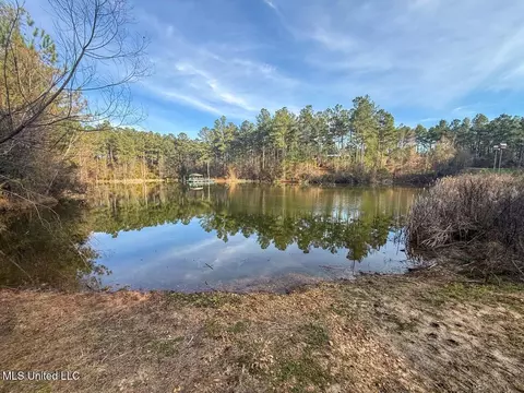 2015 Forest Rd, Hazlehurst, MS 39083 photo 44