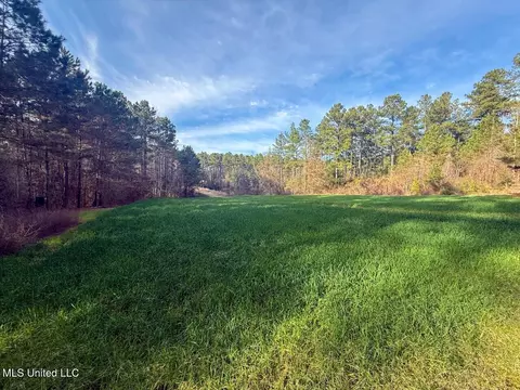2015 Forest Rd, Hazlehurst, MS 39083 photo 43
