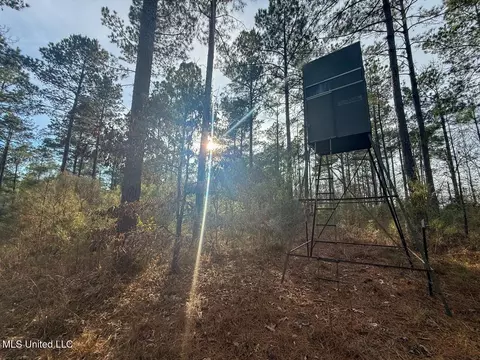 2015 Forest Rd, Hazlehurst, MS 39083 photo 13