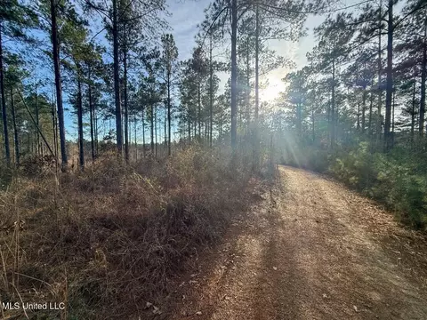 2015 Forest Rd, Hazlehurst, MS 39083 photo 15
