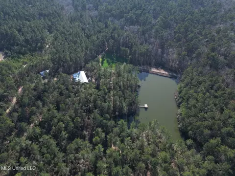 2015 Forest Rd, Hazlehurst, MS 39083 photo 4