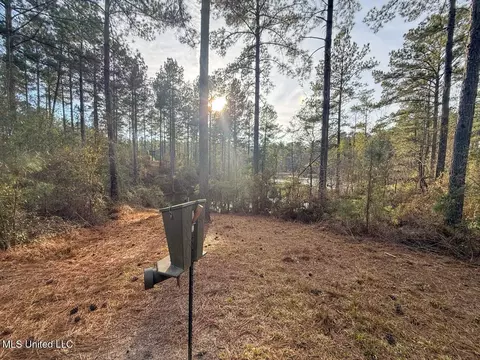 2015 Forest Rd, Hazlehurst, MS 39083 photo 18