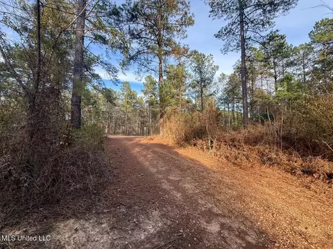 2015 Forest Rd, Hazlehurst, MS 39083 photo 16