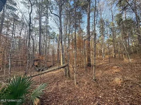 2015 Forest Rd, Hazlehurst, MS 39083 photo 47