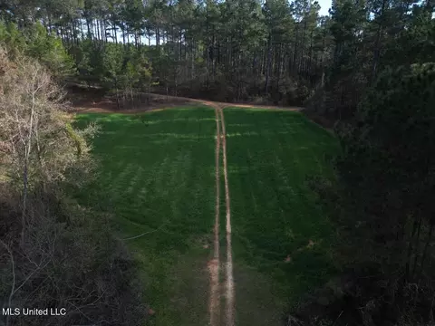 2015 Forest Rd, Hazlehurst, MS 39083 photo 10