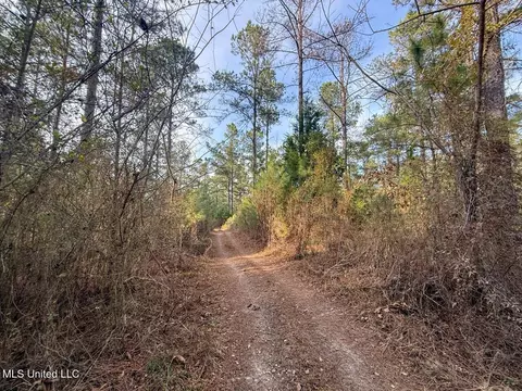 2015 Forest Rd, Hazlehurst, MS 39083 photo 17