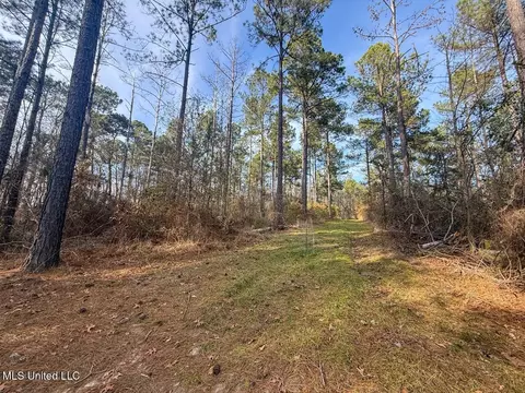 2015 Forest Rd, Hazlehurst, MS 39083 photo 49