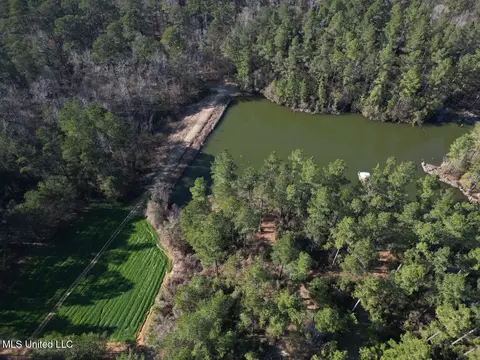 2015 Forest Rd, Hazlehurst, MS 39083 photo 2