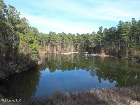 2015 Forest Rd, Hazlehurst, MS 39083 photo 7