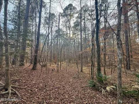 2015 Forest Rd, Hazlehurst, MS 39083 photo 46